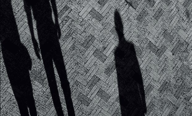 Le ombre delle verità svelate