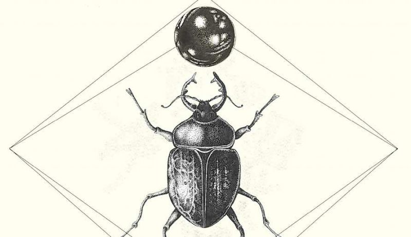 L’uomo con la testa di scarabeo